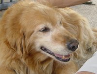 �E�B���\���̏Ί�