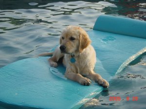 �g��胋�[�N